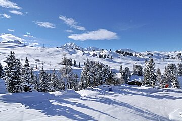 A snowy landscape with trees and mountains in the background