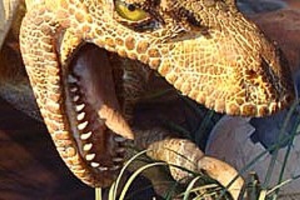 head of a model dinosaur
