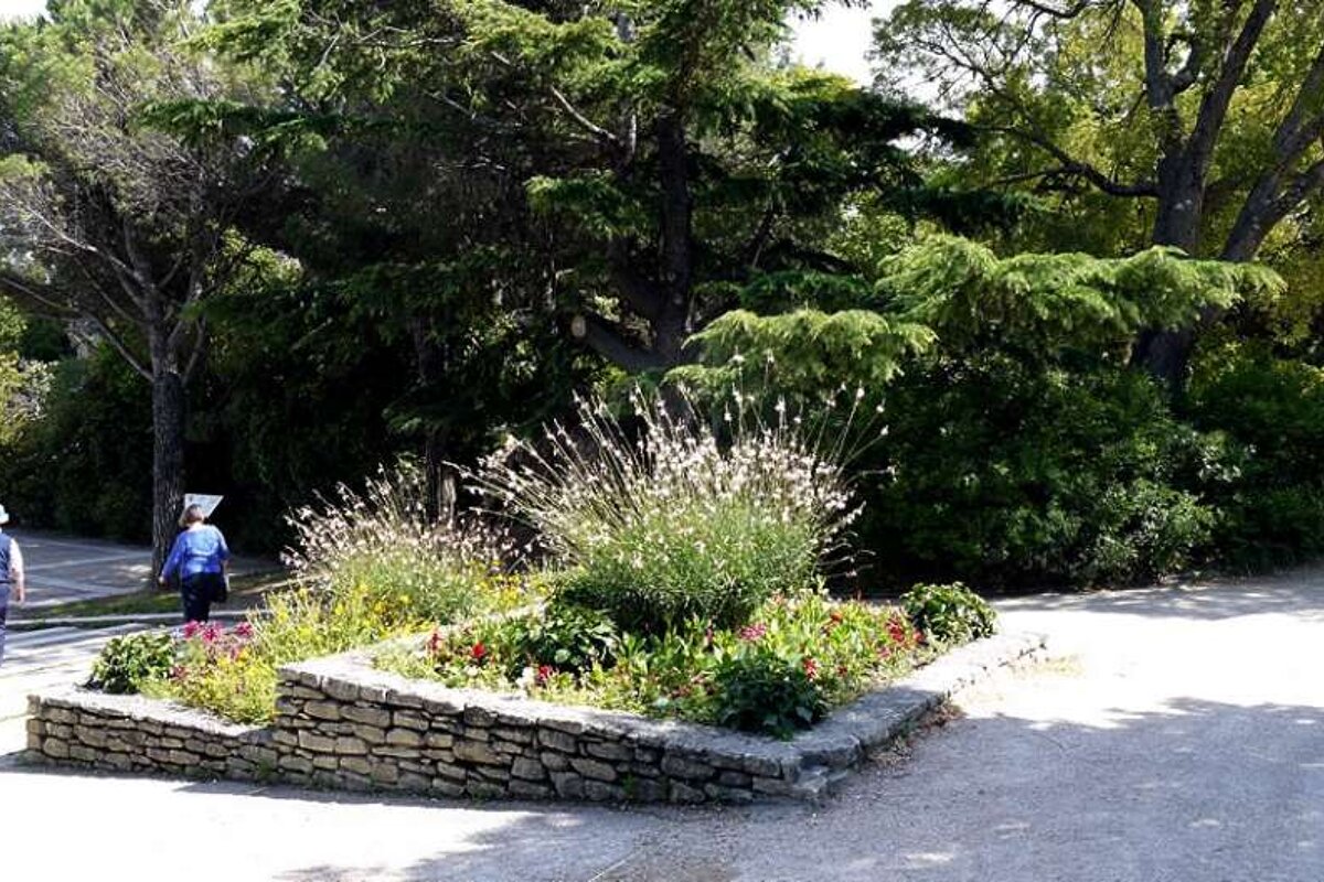 photo of a flower bed in a park