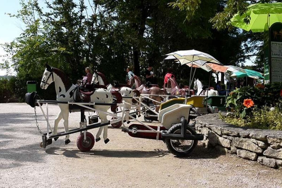 photo of a small horse and cart for kids