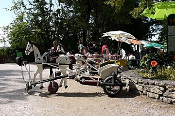 photo of a small horse and cart for kids