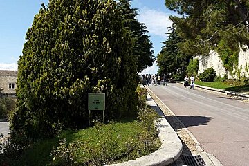 photo of a road and trees