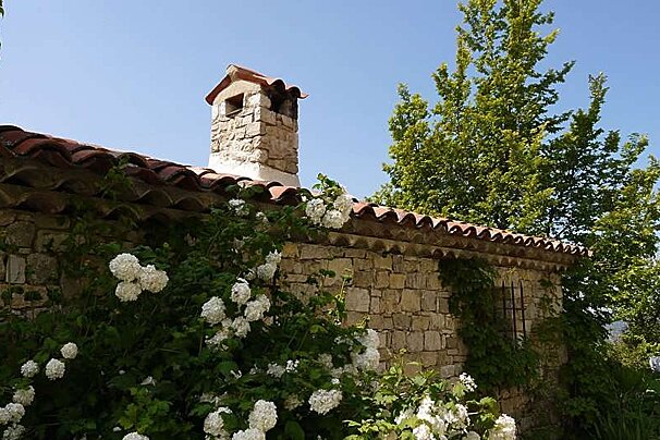 an image of a chimney stack and white flowers