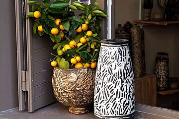 an image of an orange plant and a vase