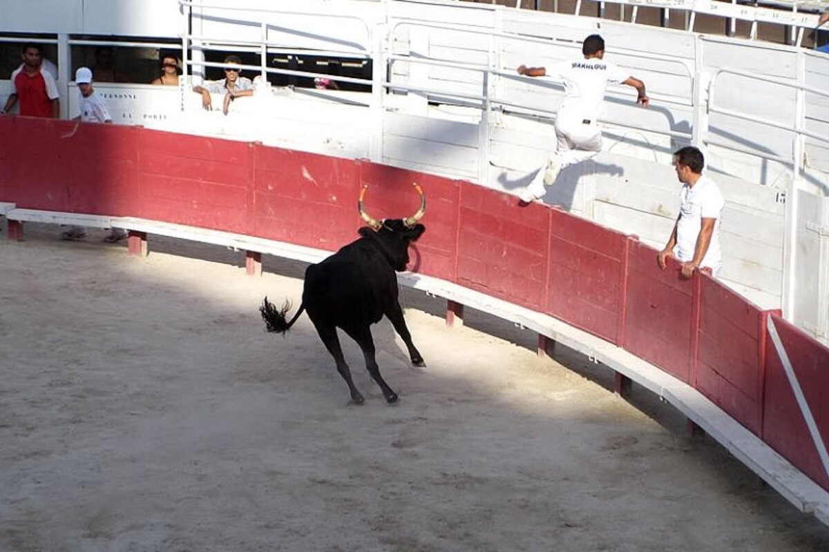 photo of men and a bull in an arena