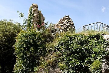photo of overgrown castle ruins