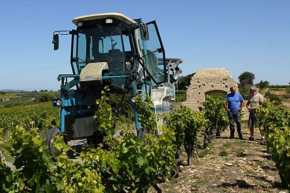 an image of a high tractor on the vineyards