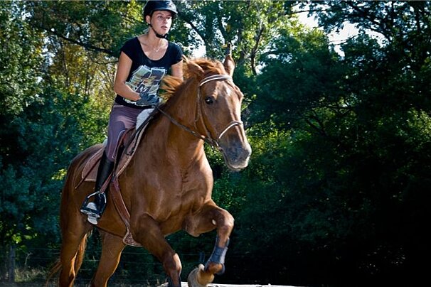 Club Hippique d'Aix Marseille horse riding, Aix-en-Provence horse riding