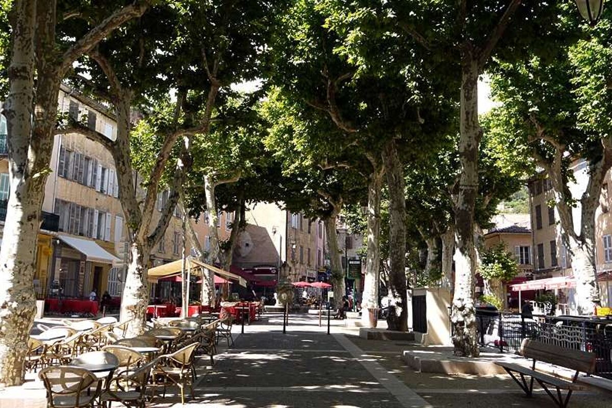 an image of a town square