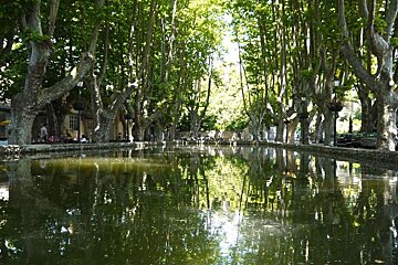 an image of a water reservoir and plane trees