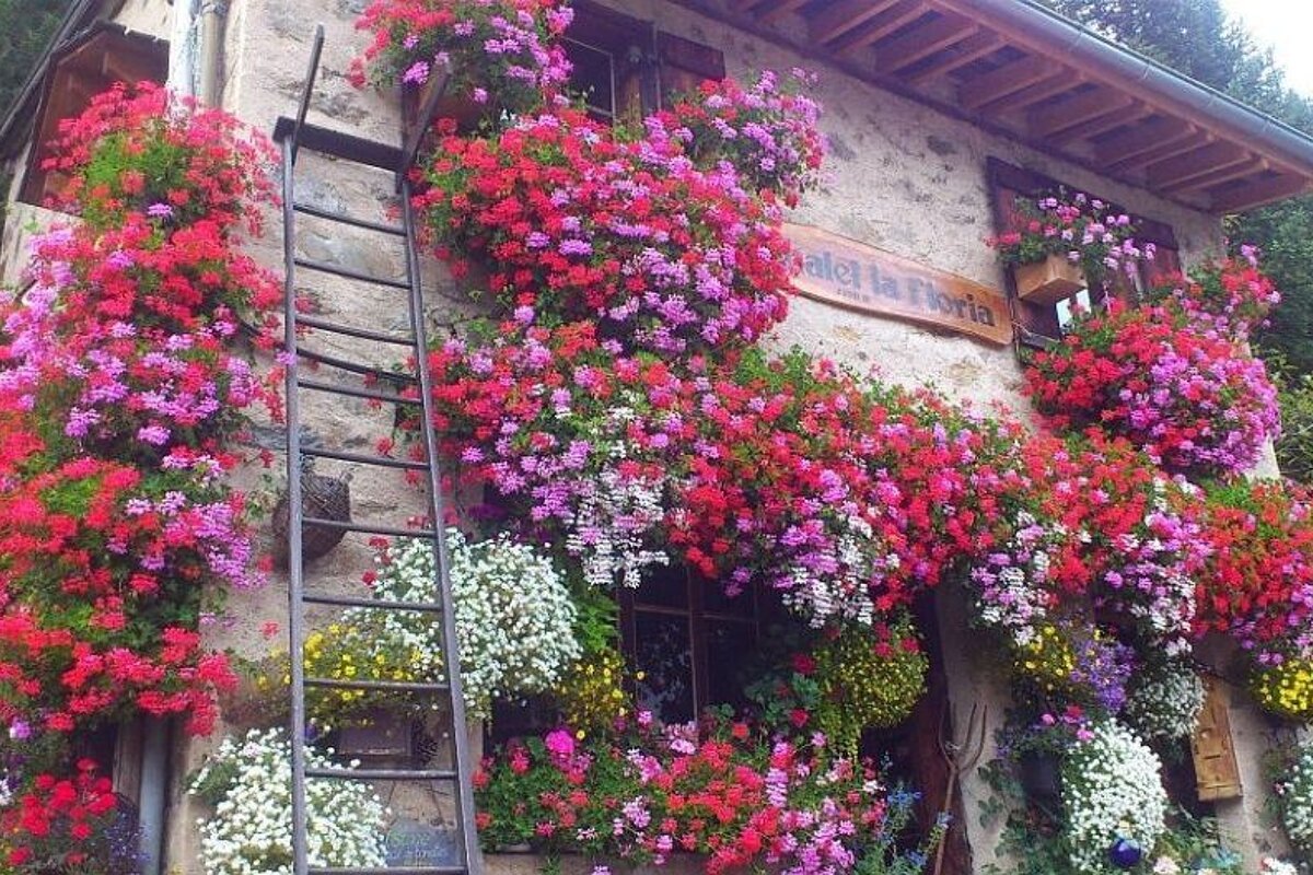 A building with lots of flowers and a sign that says villa la flora