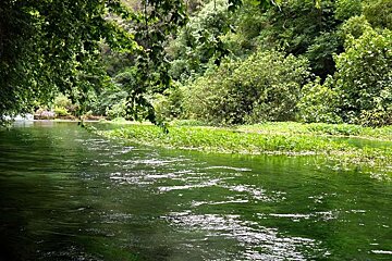 a photo of a river