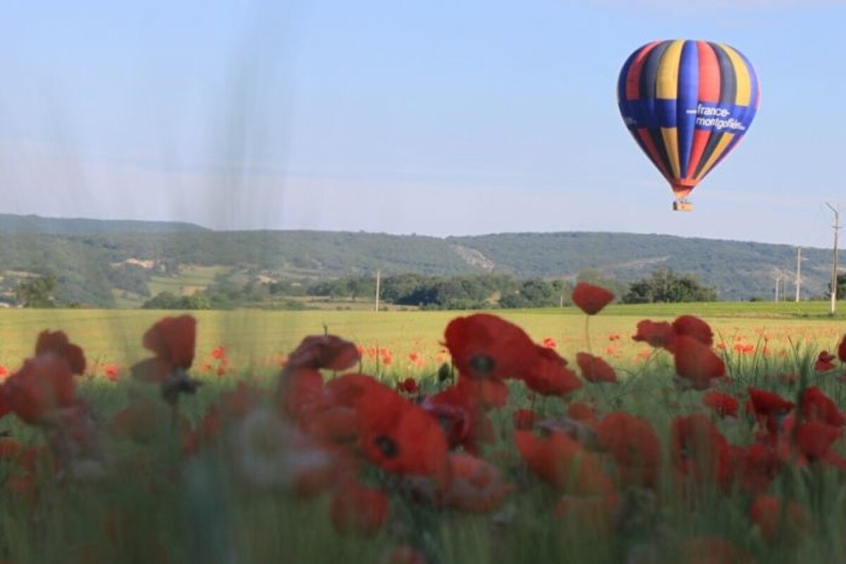 Hot air balloon over field with poppies