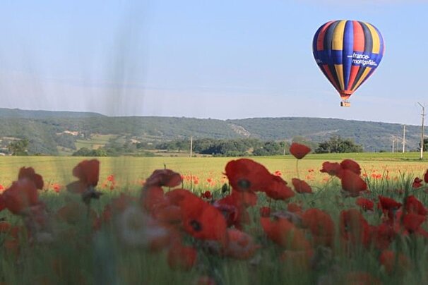Hot air balloon over field with poppies