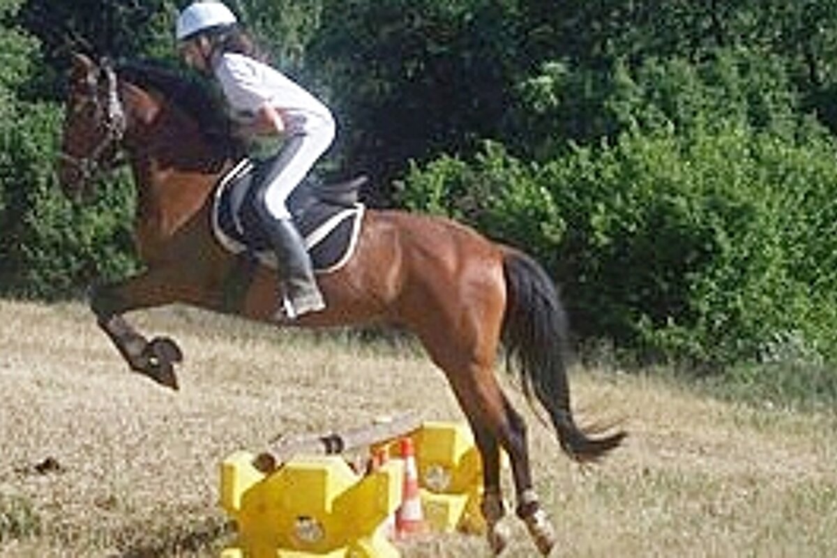 young girl on horse jumping an obstacle