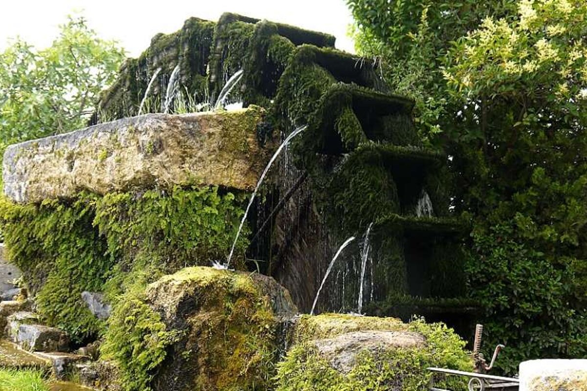 a photo of a mossy waterwheel