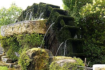 a photo of a mossy waterwheel