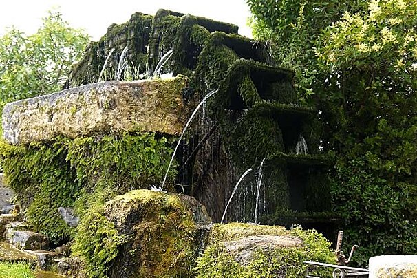 a photo of a mossy waterwheel
