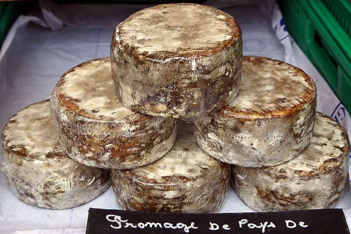 a photo of rounds of got cheese