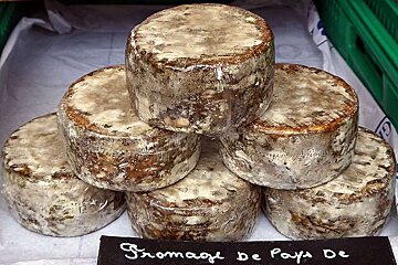 a photo of rounds of got cheese