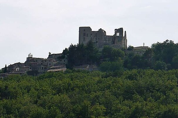 a photo of ran ancient castle