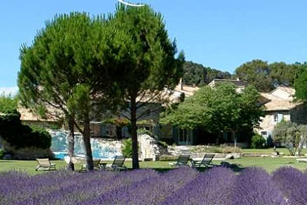 a photo of a lavender field and a house with lawn