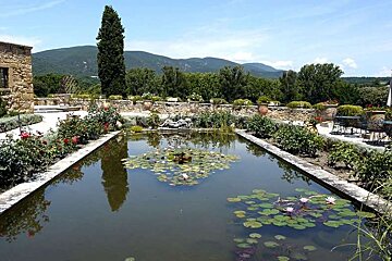 a photo of a lily pond