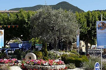 a photo of an olive tree and flowers