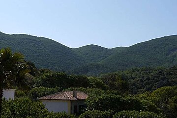 a photo of green hills