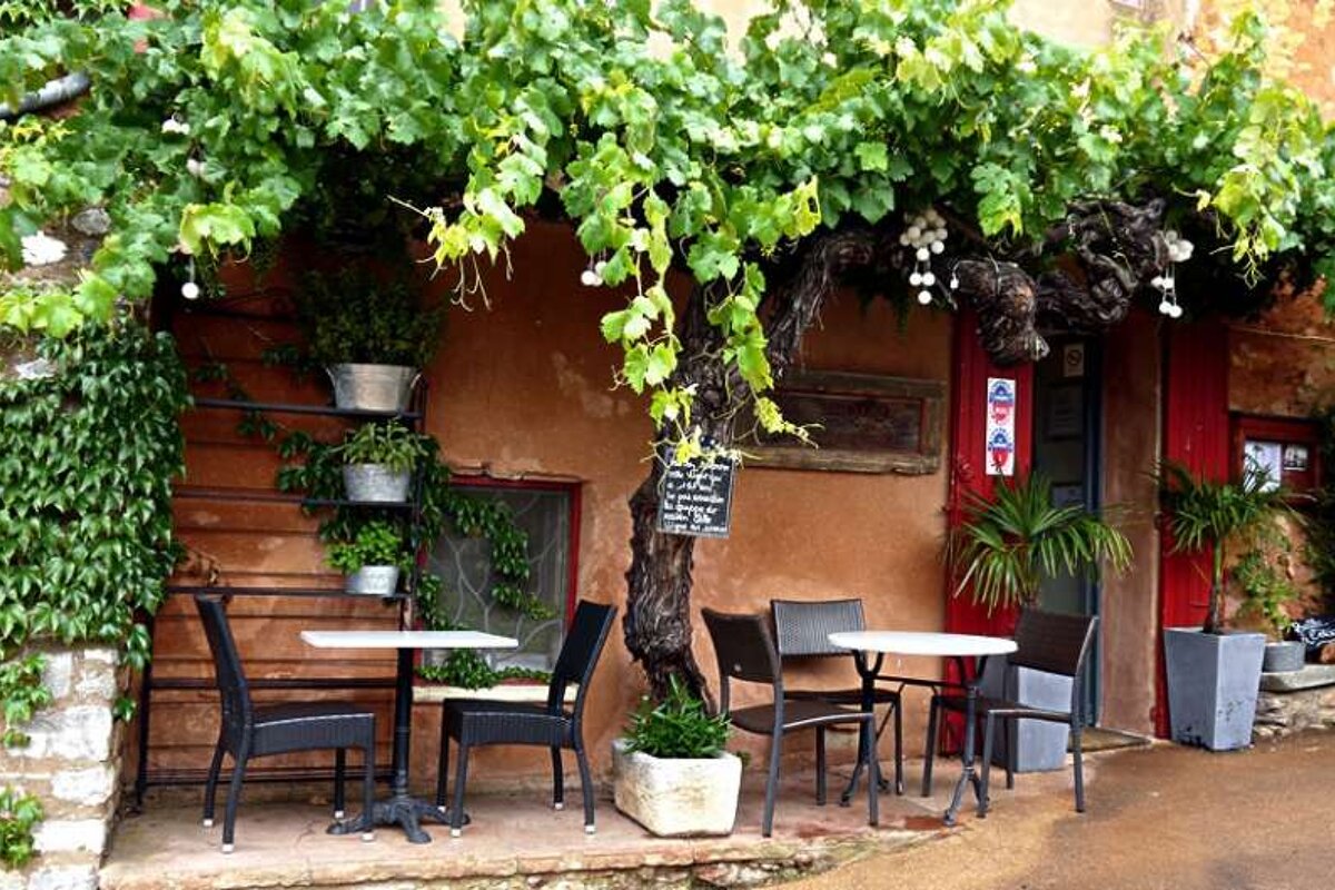 a photo of cafe terrace with vines