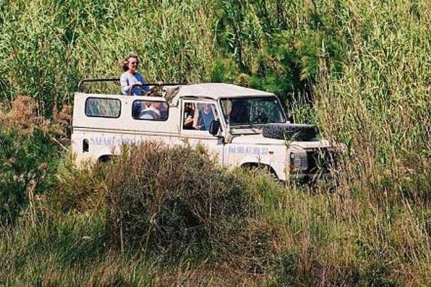 Land Rover in the wild