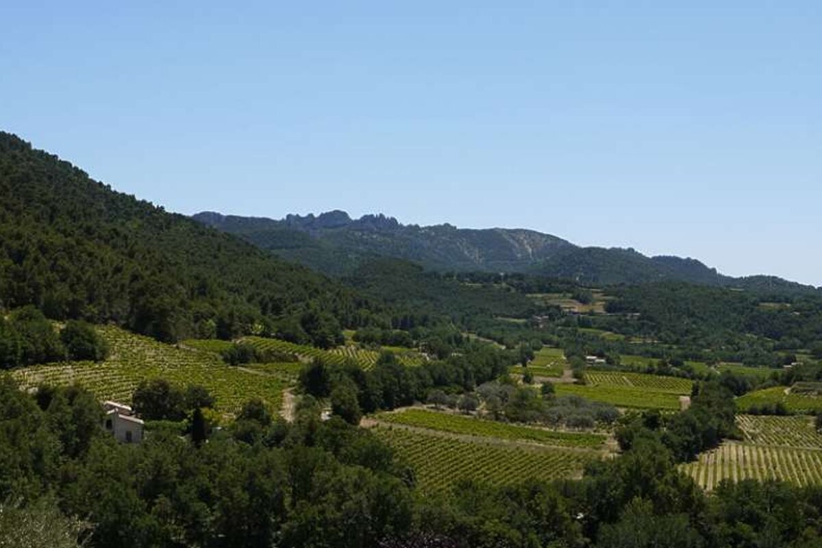 a photo of green countryside