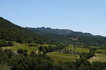 a photo of green countryside