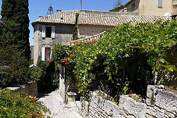 a photo of a lane and plants