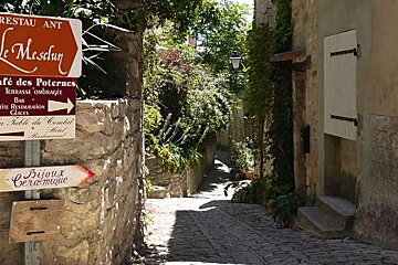 a photo of a lane with sign posts