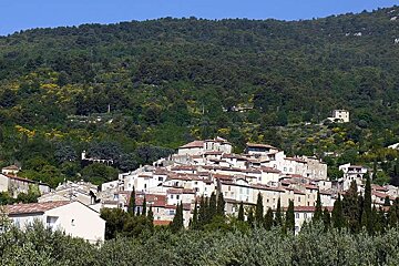 a photo of a village with a hill