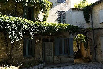 photo of a vine covered town house
