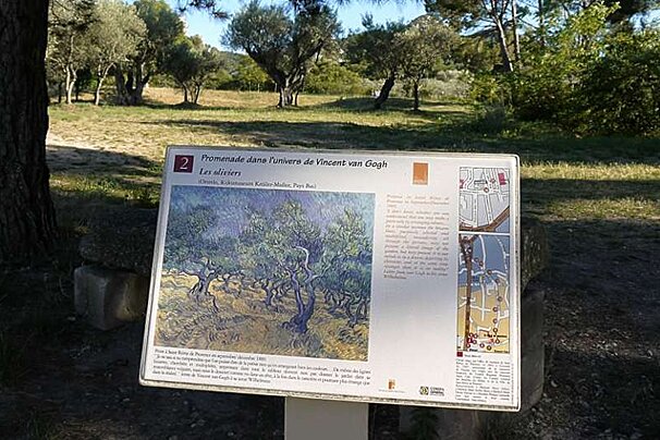 photo of olive trees and a painting by van gogh