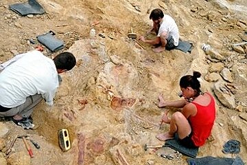 Excavators looking for dinosaur remains in Velaux Provence