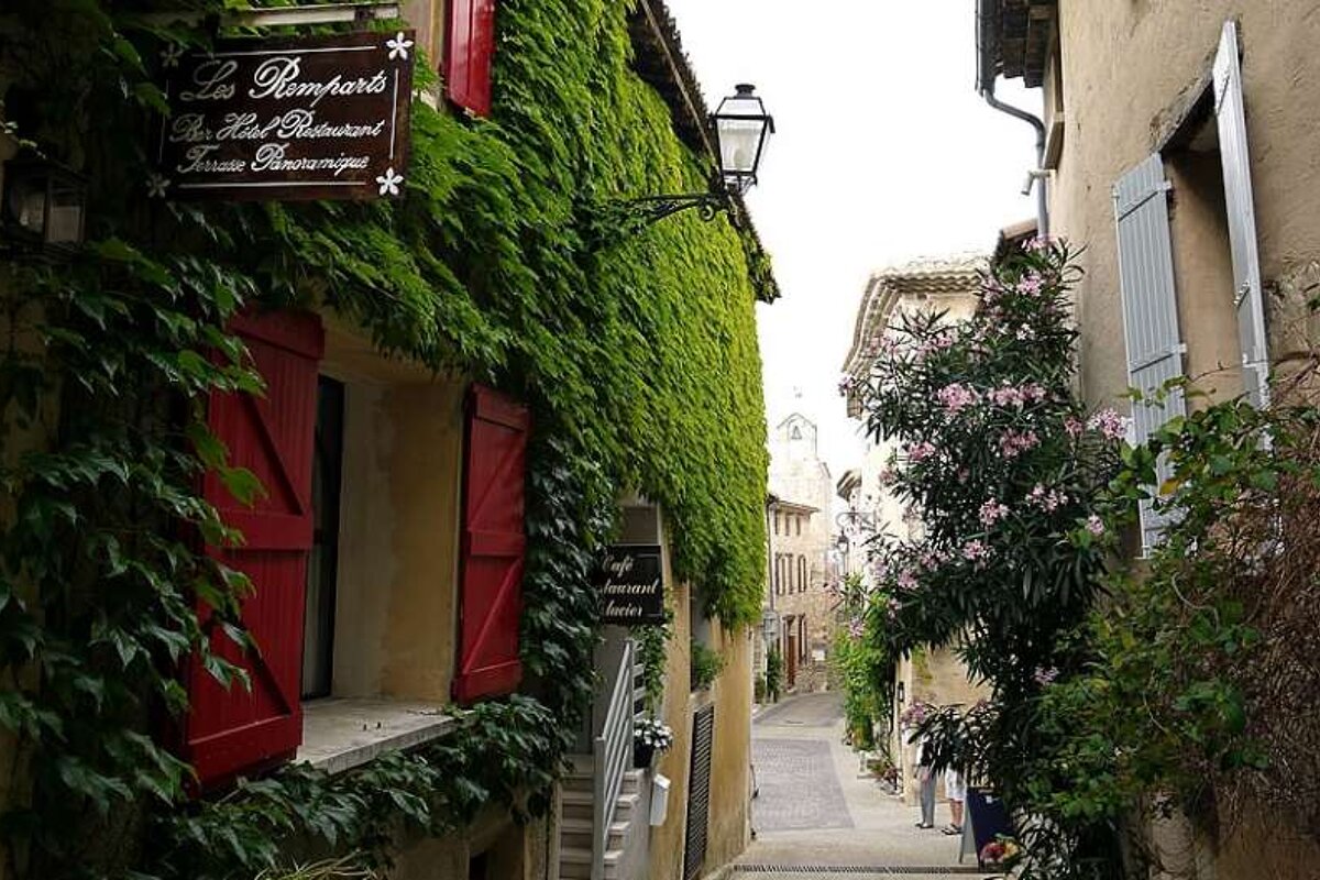 photo of a lane with vines and flowers
