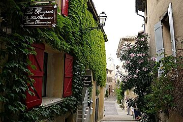 photo of a lane with vines and flowers
