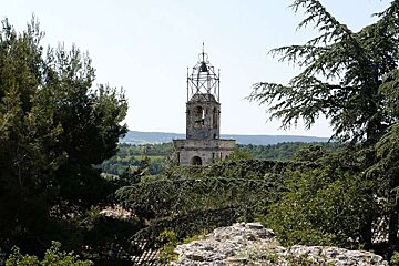 photo of a bell tower and trees