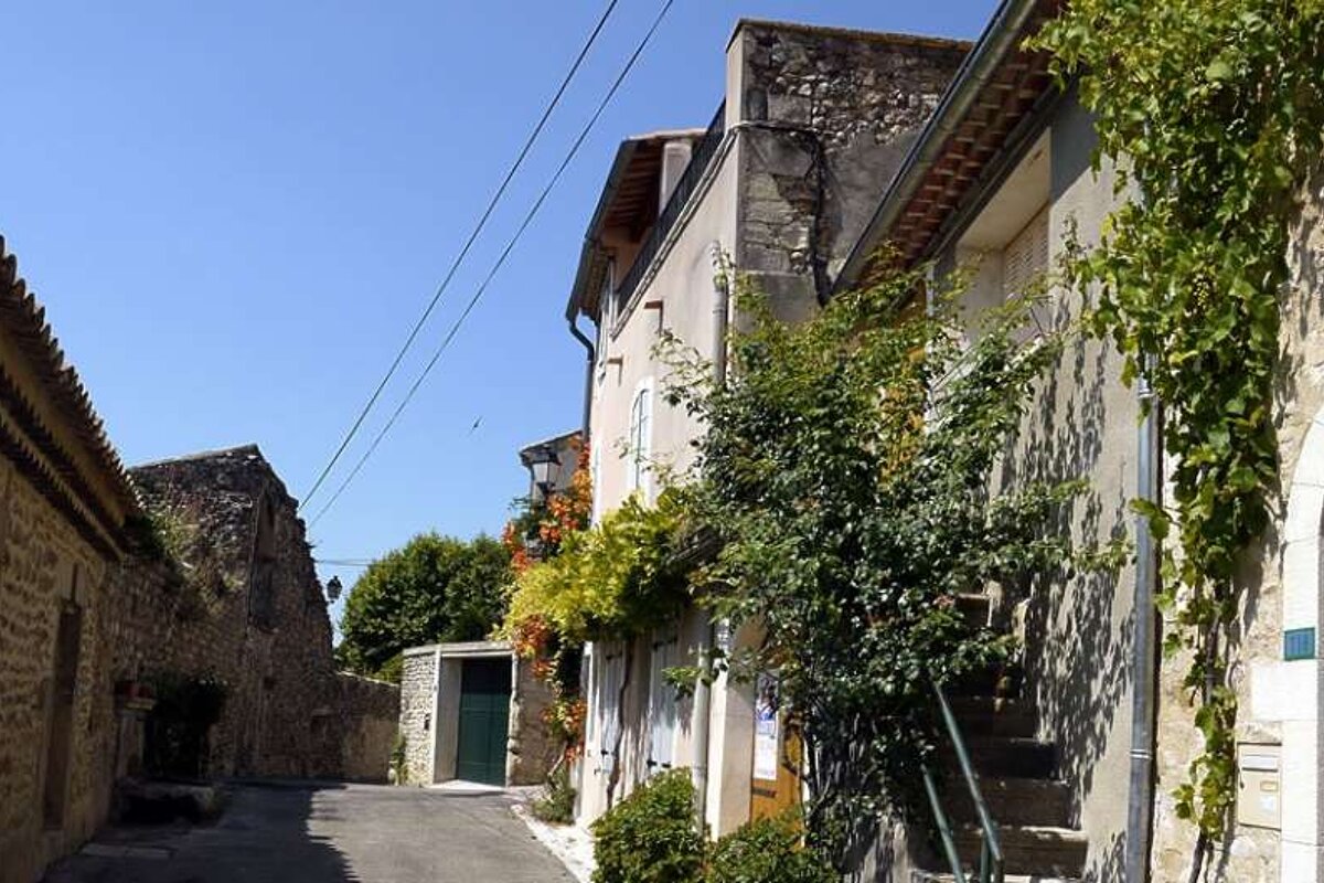 photo of a street and houses