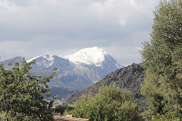 A snowy mountain with trees in the foreground