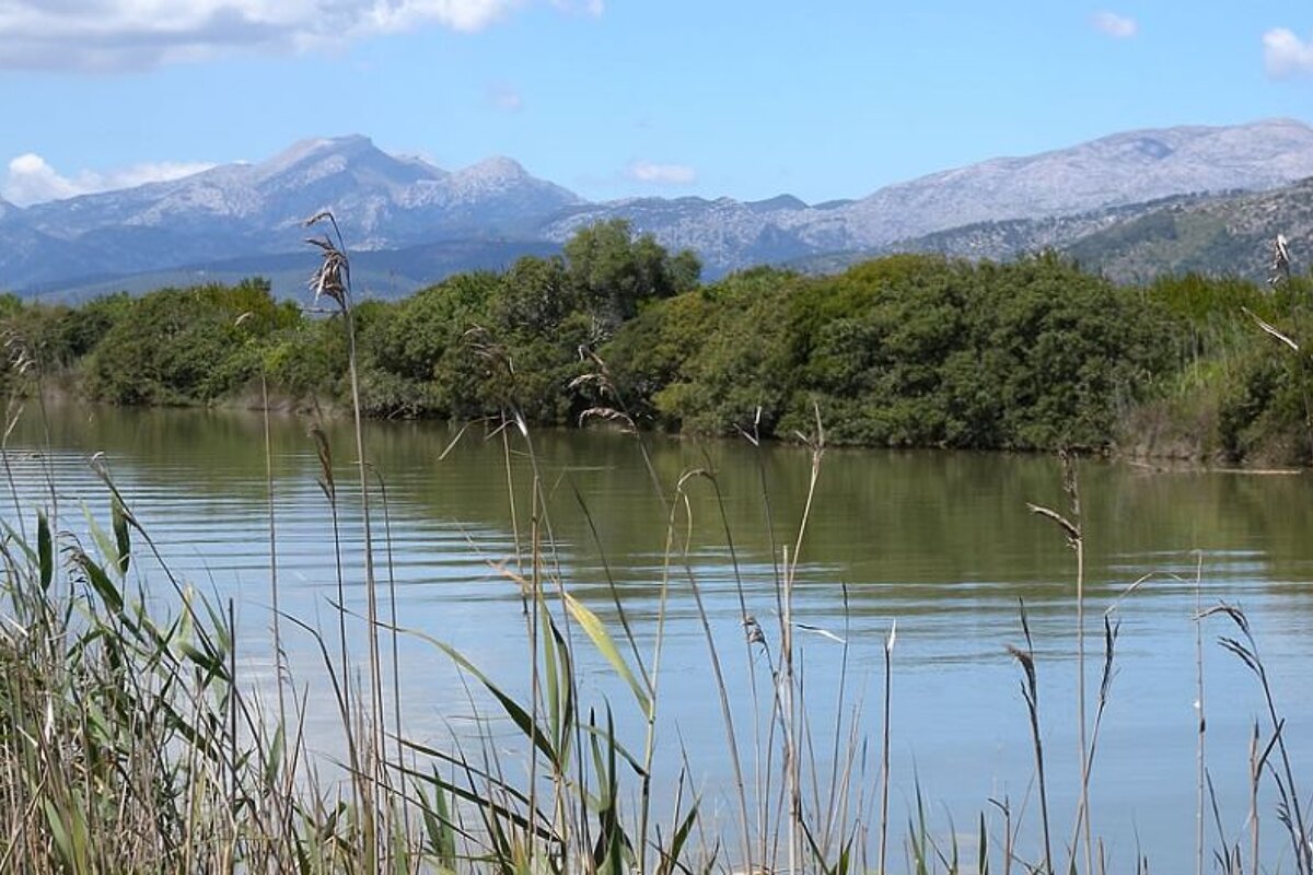 photo of wetland lake and hills in background