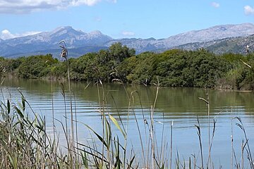 photo of wetland lake and hills in background