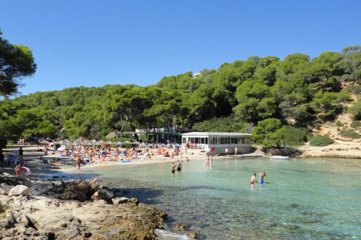 Clear water and green trees at Portal Vells