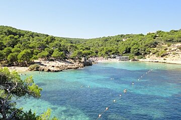 Clear water and trees in a bay
