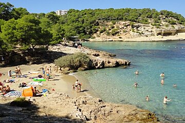Rocky edged sandy bay trees and water