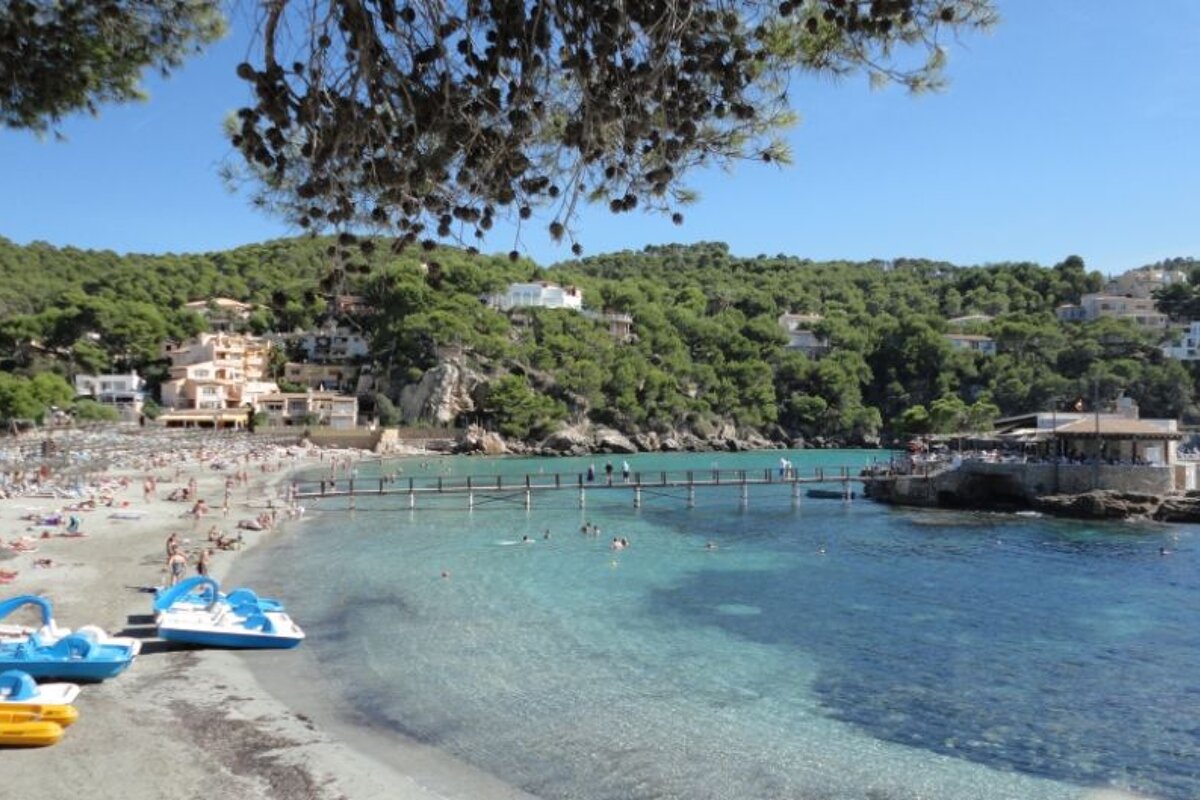photo of beach and island